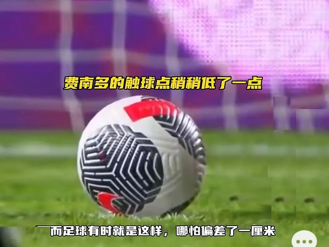 的广泛关注
